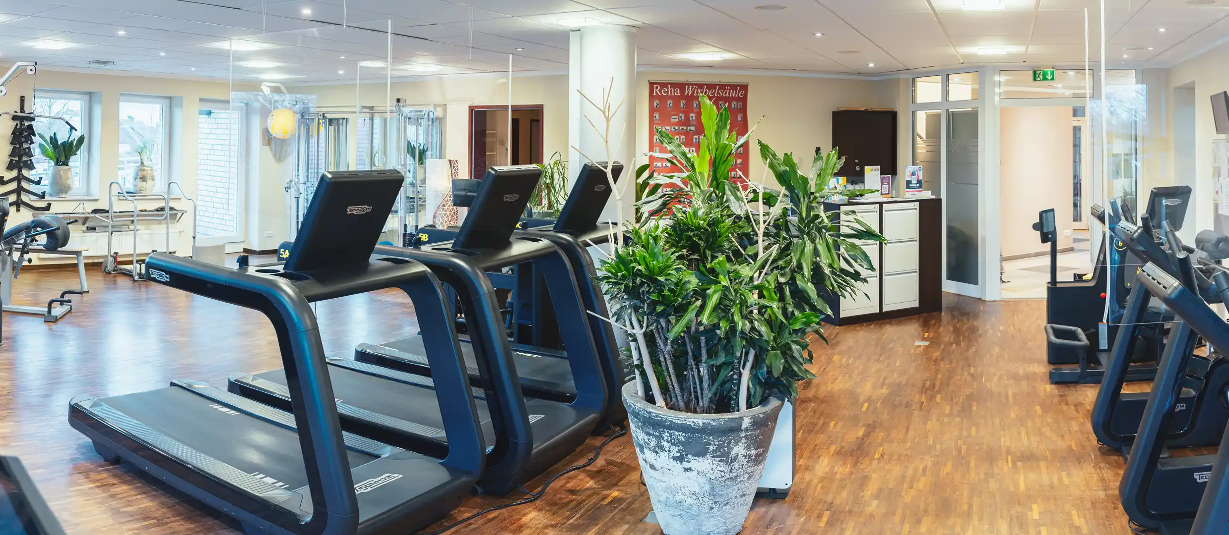 Trainingsfläche SoleSpa Lichtdurchfluteter Trainingsraum im SoleSpa mit Laufbändern, Ergometern und grünen Pflanzen.