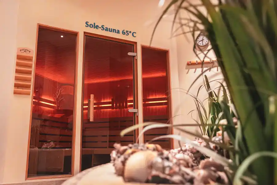 Sole-Licht-Sauna Bio-Sole-Sauna mit rötlicher Beleuchtung und Glasfront, im Vordergrund Pflanzen und Muscheldeko.