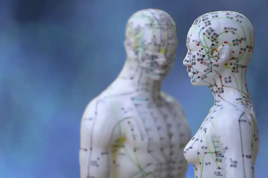 Zwei anatomische Modelle mit Akupunkturpunkten.
