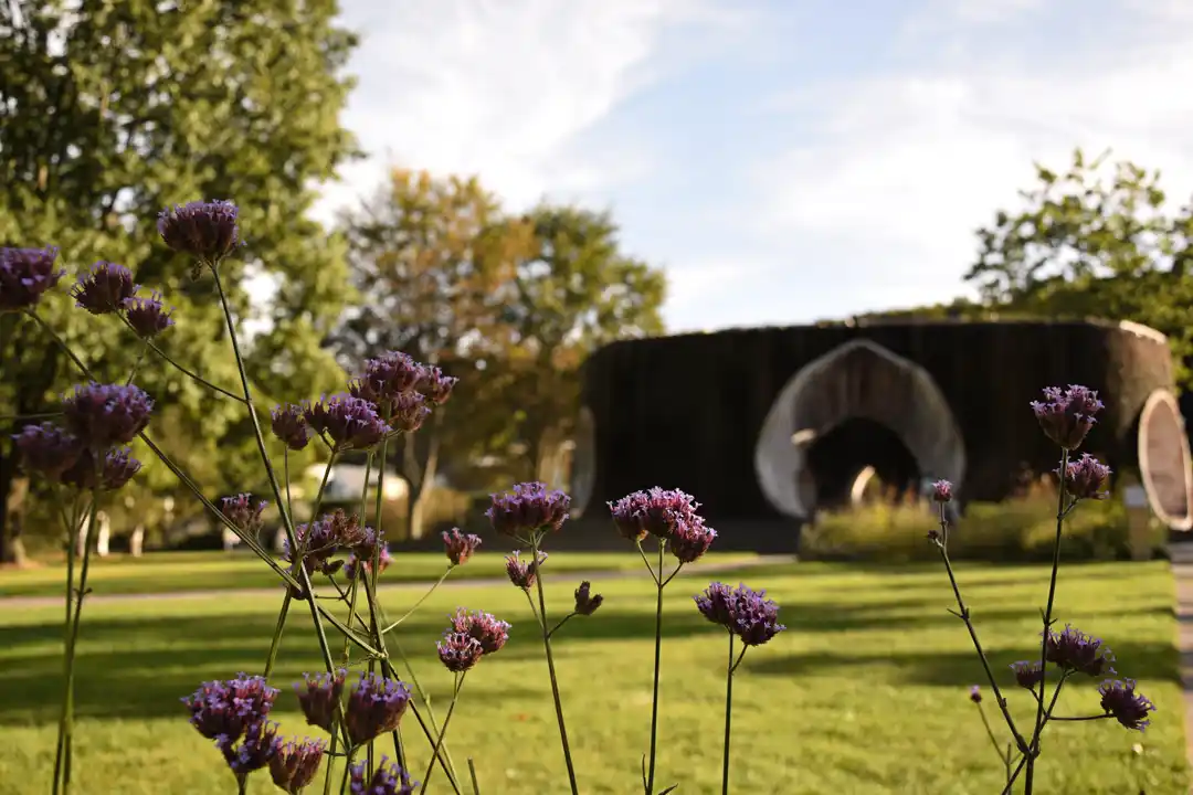 Kurpark mit Gradierwerk in Bad Essen Blühende lila Blumen im Vordergrund eines gepflegten Kurparks in Bad Essen. Im Hintergrund ist ein modernes Gradierwerk zu sehen, umgeben von Bäumen und grünem Rasen.