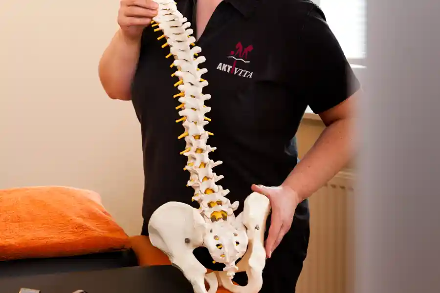 Therapeutin hält ein anatomisches Wirbelsäulenmodell.